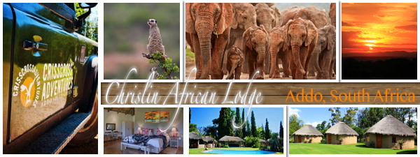 15% off at Addo accommodation, Chrislin African Lodge, Addo