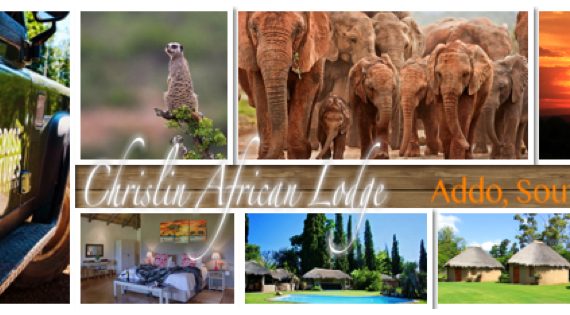 25% Discount for Addo Accommodation